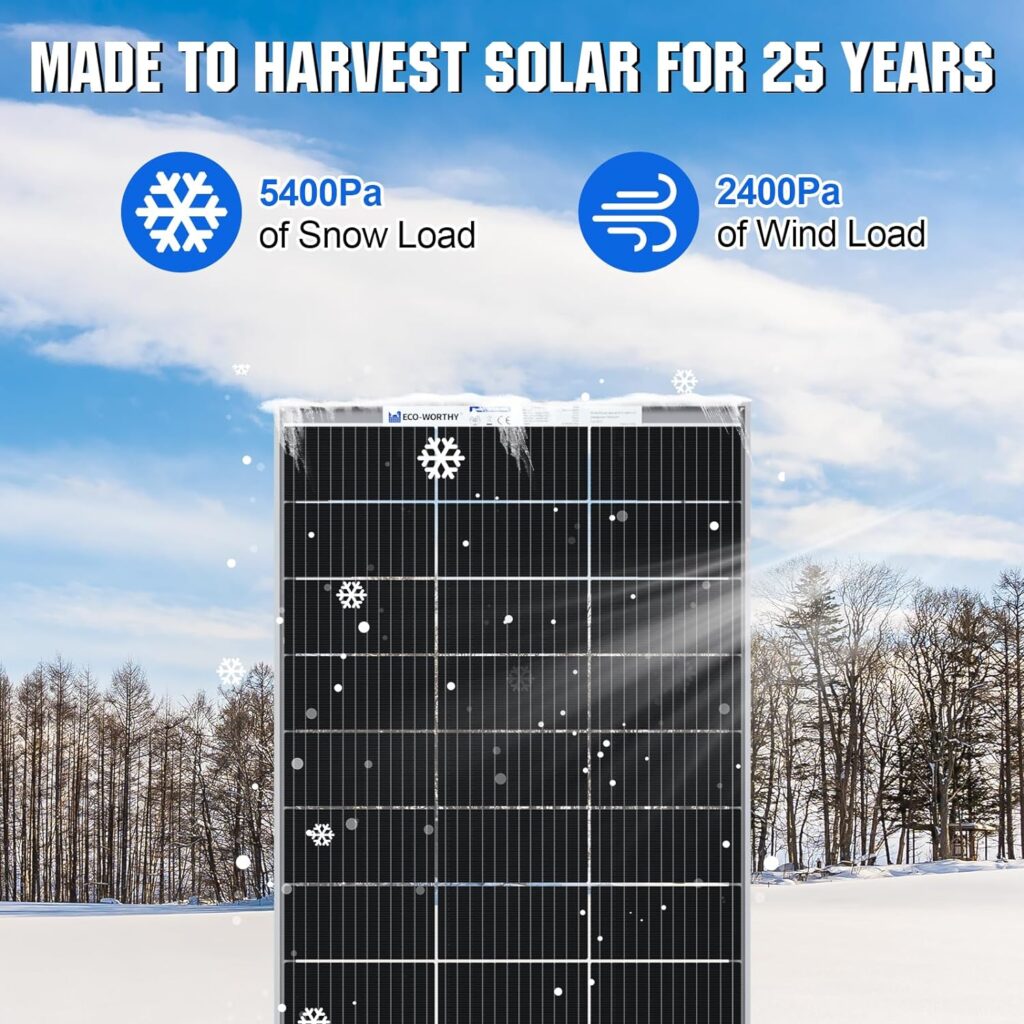 ECO-WORTHY 12V 195 Watt Bifacial Solar Panel and Upgraded 6 String Solar PV Combiner Box, Upgraded 25A Current Fuse